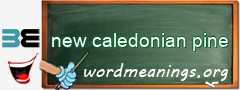 WordMeaning blackboard for new caledonian pine